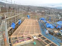 2012/1/22 足場組み、1階床組作業