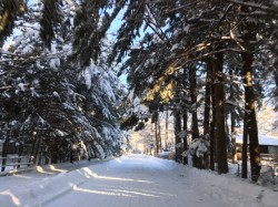 軽井沢 雪景色